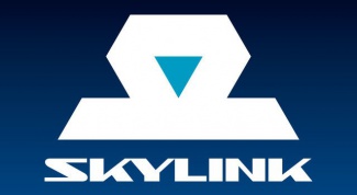 Как пользоваться skylink 