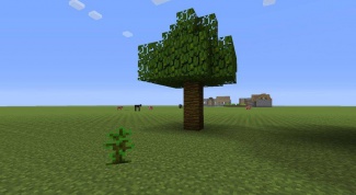 Как вырастить дерево в Minecraft