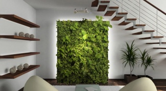 Vertical gardening apartment interior