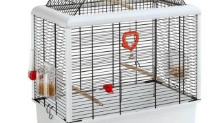 How to build a cage wavy parrots