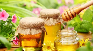 Как образуется мед