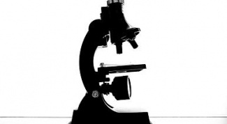 Как пользоваться микроскопом