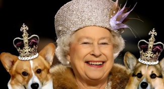 Какой породы собака английской королевы?