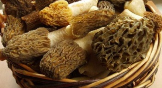 How to cook morels