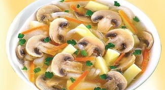 The soup with mushrooms and potatoes