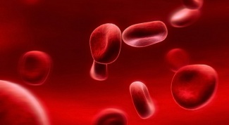 A lot of red blood cells in the urine: why?