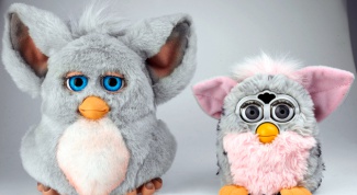 What can he do Furby