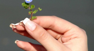 Как вырастить натуральные длинные ногти