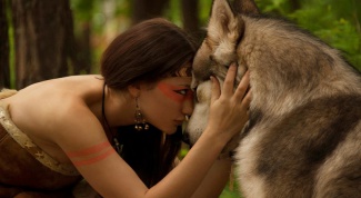 How to tame a wolf