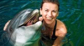 Where in Moscow it is possible to swim with dolphins