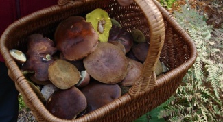 How to clean mushrooms