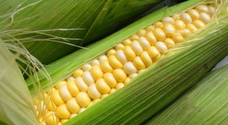 Почему кукурузу называют 