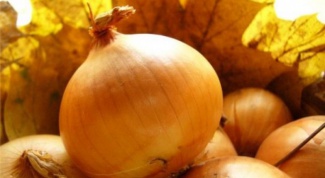 How to dry onions after harvesting from the garden