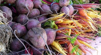 The most common disease of beet