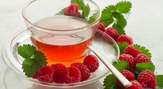 When to harvest raspberry leaves and black currant tea