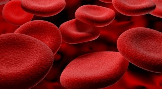 Что такое реология крови
