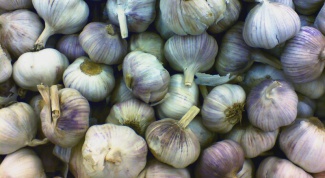 A clove of garlic on an empty stomach: myth or panacea