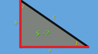Как найти площадь прямоугольного треугольника