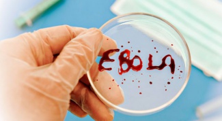 Как избежать заражения вирусом Эбола