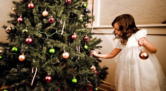 Как установить живую новогоднюю елку