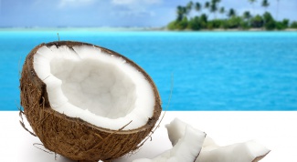 Как приготовить кокосовый ликер