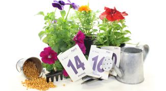 Посевной календарь для садоводов-огородников