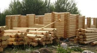 Выбор древесины для постройки жилого дома
