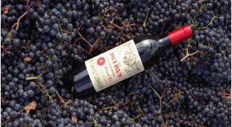Как сделать вино из винограда