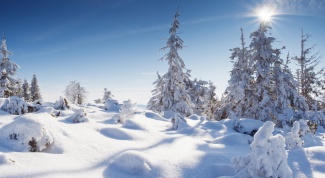 Зимние праздники: всемирный день снега
