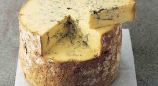 Домашнее сыроделие и рецепт ароматного стилтона – сыра с голубой плесенью. Часть I