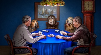 Что такое блеф в покере