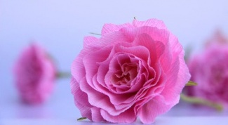 Как сделать розу из гофрированной бумаги
