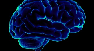 Какие продукты улучшают мозговую деятельность?