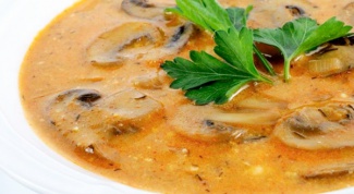 Как приготовить вкусный суп из шампиньонов
