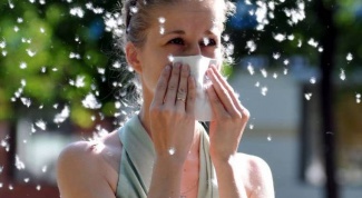 Что делать при аллергии на пыльцу 