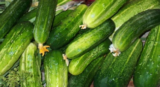 What to do with large cucumbers