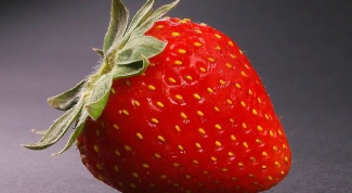 What is the difference between strawberries and wild strawberries 
