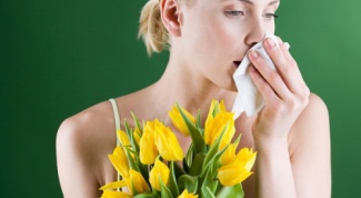 Как предотвратить аллергию на пыльцу растений