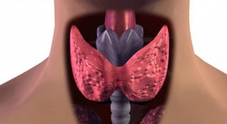 Что такое щитовидная железа