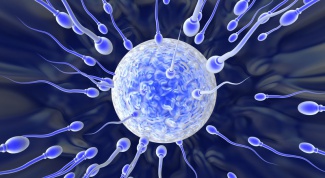 Как увеличить количество спермы