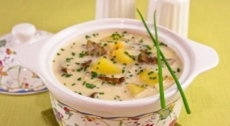 Как приготовить сырный суп с белыми грибами
