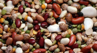 All about bean plants