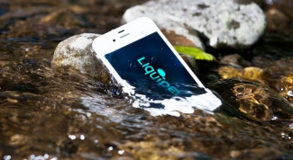 What to do if iPhone 5 fell in water