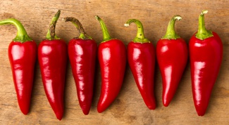 How to grow chili peppers at home