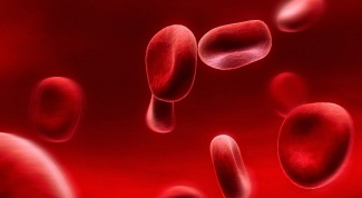 Сколько литров крови в человеке?