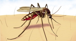 How to get rid of mosquitoes using odor