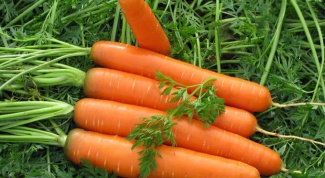 Простые украшения из моркови