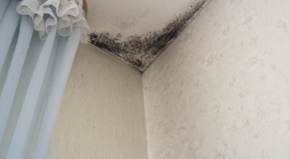How to get out of the house mold?