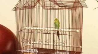How to equip the parrot cage