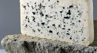 Cheeses: benefit or harm?